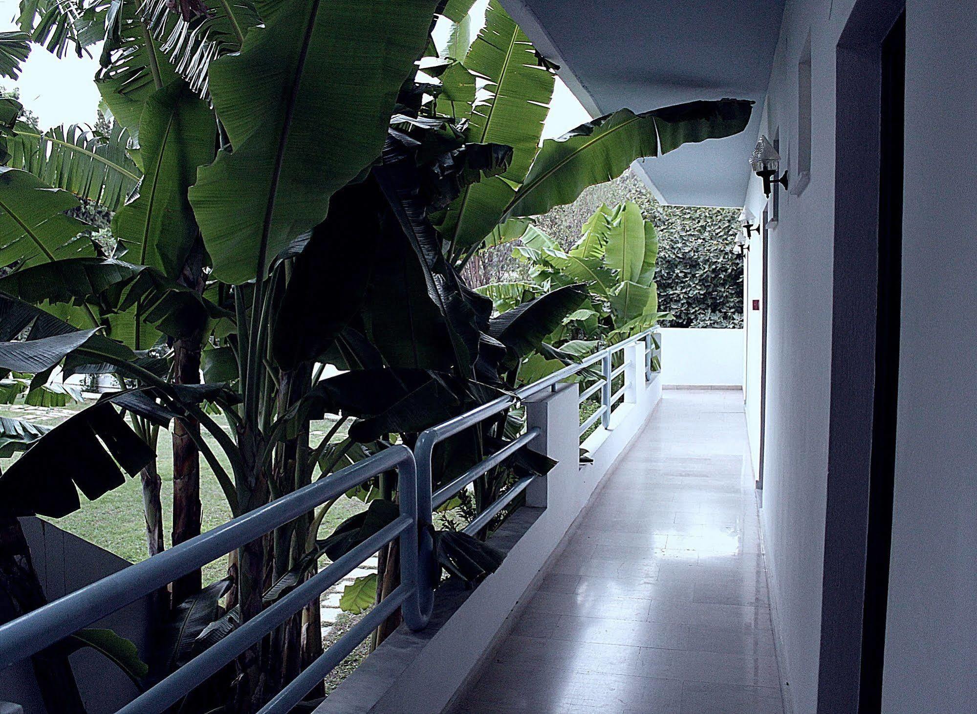 Elga Hotel & Apartments Kardamena  ภายนอก รูปภาพ